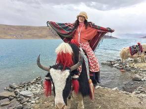 娱乐吃瓜酱西藏,娱乐吃瓜酱带你领略神秘高原魅力