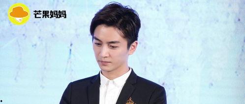 娱乐圈吃瓜陈晓是谁,娱乐圈吃瓜达人,揭秘明星幕后故事