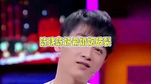 娱乐圈吃瓜陈晓是谁,娱乐圈吃瓜达人,揭秘明星幕后故事